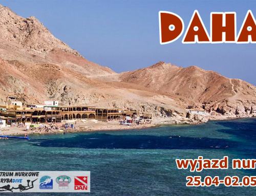 DAHAB wyjazd nurkowy 25.04-02.05.2017