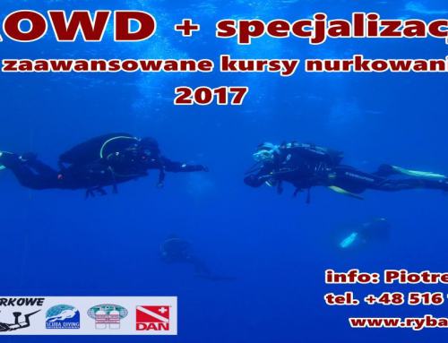 AOWD kursy 2017 nurkowania zaawansowane + specjalizacje